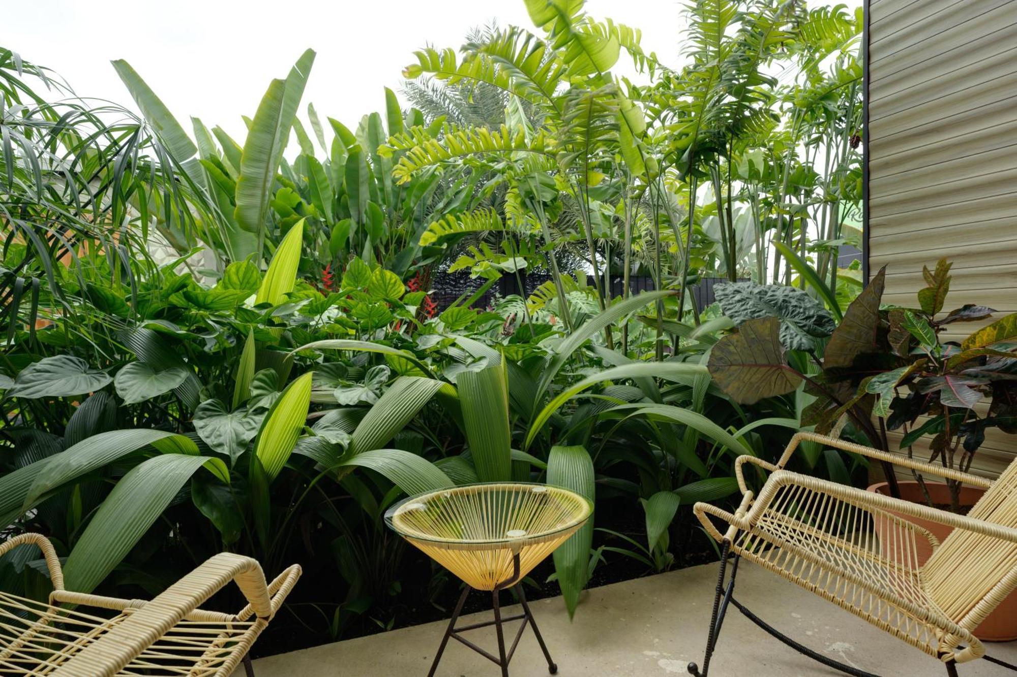 Suwa Villa Arenal La Fortuna Exterior foto